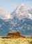 Teton Barn