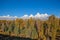 Teton Fall Landscape