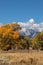 Teton Fall Landscape