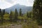 Teton Mountains from Cottonwood Creek, Jackson Hole, Wyoming.