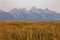 The Teton Mountains near Jackson Hole, Wyoming USA