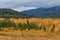 Teton Scenic Autumn Landscape