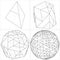 From Tetrahedron To The Ball Sphere Lines Vector