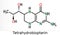 Tetrahydrobiopterin, BH4, THB, sapropterin molecule. It has role as coenzyme, diagnostic agent, human metabolite, cofactor.