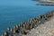 Tetrapod breakwaters on the coast. concrete breakwaters of tetrapods lie all along the coast.