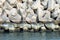 Tetrapods breakwater, a structure in coastal engineering used to prevent erosion caused by sea wave and strong wind and protect