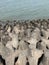 Tetrapods, coastal erosion prevention, mumbai coastline