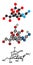 Tetrodotoxin TTX pufferfish neurotoxin molecule. Stylized 2D renderings and conventional skeletal formula.