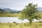 Tewet Tarn Lake, Keswick; Lake District