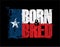 Texan Flag - Born n Bred
