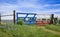 Texas bluebonnets along a fence in spring