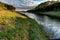 Texas Bluebonnets at Muleshoe Bend in Texas.