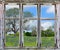 Texas bluebonnets vista through an old window frame