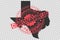 Texas coronavirus stamp. Concept of quarantine, isolation and pandemic of the virus in USA, Austin. Grunge style texture
