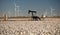 Texas Cotton Filed Textile Agriculture Oil Industry PumpJack