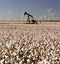 Texas Cotton Filed Textile Agriculture Oil Industry PumpJack