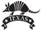 Texas design with armadillo animal and banner