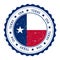 Texas flag badge.