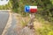 Texas Flag Mailbox on a Tree Stump