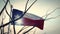 Texas flag waving in the lone star state - video animation