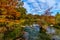 Texas Foliage Bursting with Color Surrounding a Cr