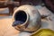 Texas Indigo black snake coming out of the clay jug in Central Florida Zoo & Botanical Gardens