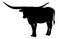 Texas Longhorn bull, cattle icon, on white background