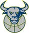 Texas Longhorn Bull Head Basketball