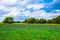 Texas Meadow Bluebonnet Field in Spring