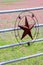 Texas metal star on fence/gate in front of rainbow wildflowers in spring