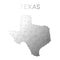 Texas polygonal vector map.