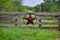 Texas rustic star on countryside side wooden fence, with road to the house slowly dissolving in the background.