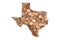 Texas State Map Outline and United States Money, Piles of Coins, Pennies