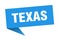Texas sticker. Texas signpost pointer sign.