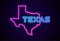 Texas US state glowing neon lamp sign Realistic vector illustration Blue brick wall glow