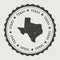 Texas vector sticker.