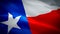 Texas waving flag. National 3d United States flag waving. Sign of Texas seamless loop animation. American State flag HD resolution