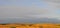 Texas Windmills with Blue Sky and Golden Waves of Native Grasses