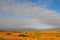 Texas Windmills with Blue Sky and Golden Waves of Native Grasses