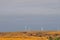 Texas Windmills with Blue Sky and Golden Waves of Native Grasses