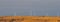 Texas Windmills with Blue Sky and Golden Waves of Native Grasses