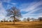 Texas winter sky