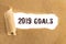 The text 2019 goals appearing behind torn brown paper