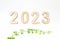 Text 2023 from wooden numbers on a white background with live leaves of a plant, with shadows. Postcard or calendar. Numeric