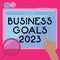 Text caption presenting Business Goals 2023. Business concept Advanced Capabilities Timely Expectations Goals