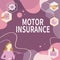 Text caption presenting Motor Insurance. Business overview Provides financial compensation to cover any injuries Woman