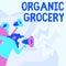 Text caption presenting Organic Grocery. Business concept market with foods grown without the use of fertilizers Women