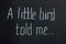 Text on chalkboard `Little bird told me`. Common phrase