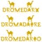 Text dromedary in 3 languages