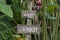 Text exit and toilet on a wooden board in a rainforest jungle of tropical Bali island, Indonesia. Exit and toilet wooden sign